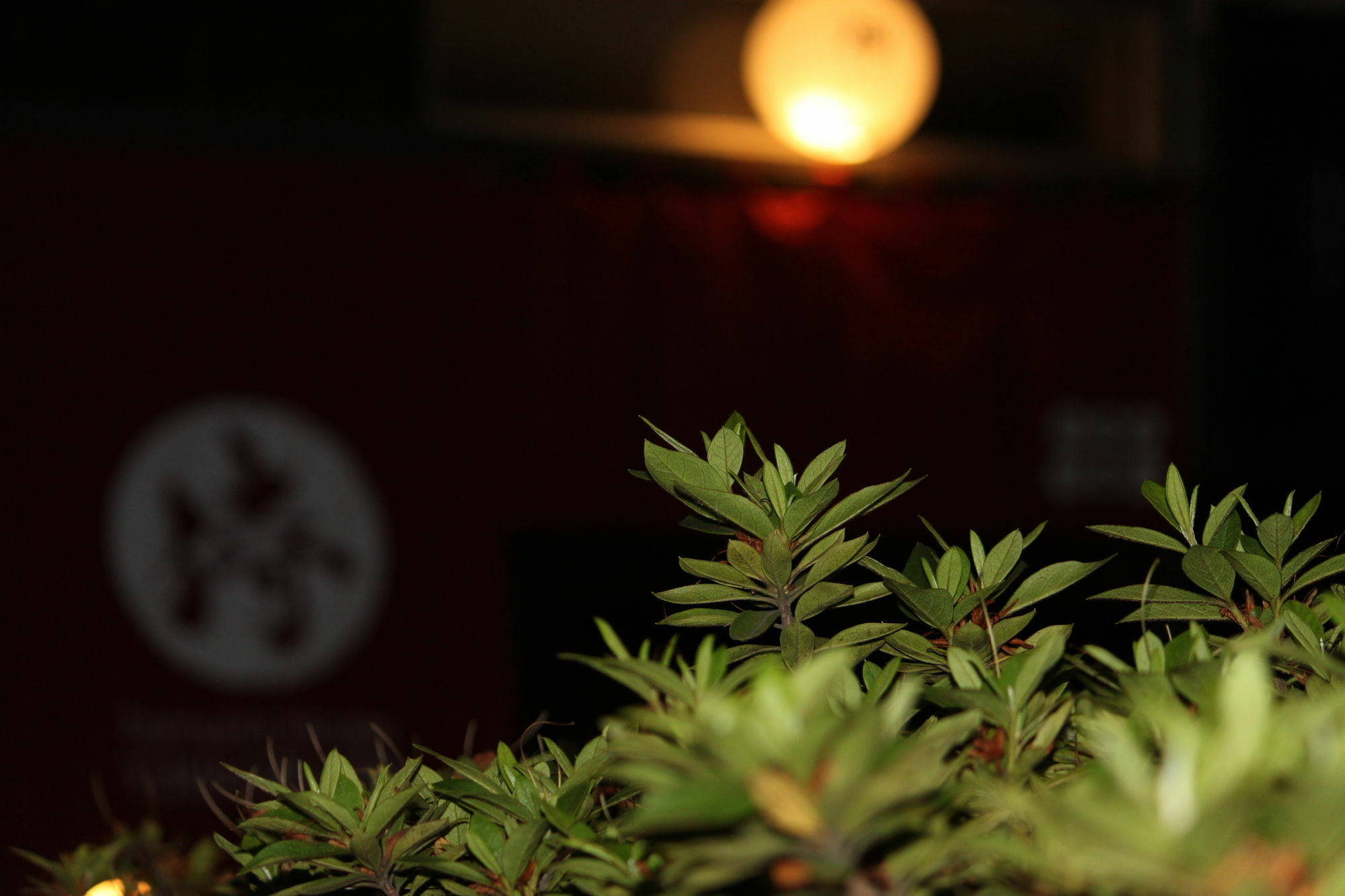 Samurai House Yukimura 東京都 外观 照片